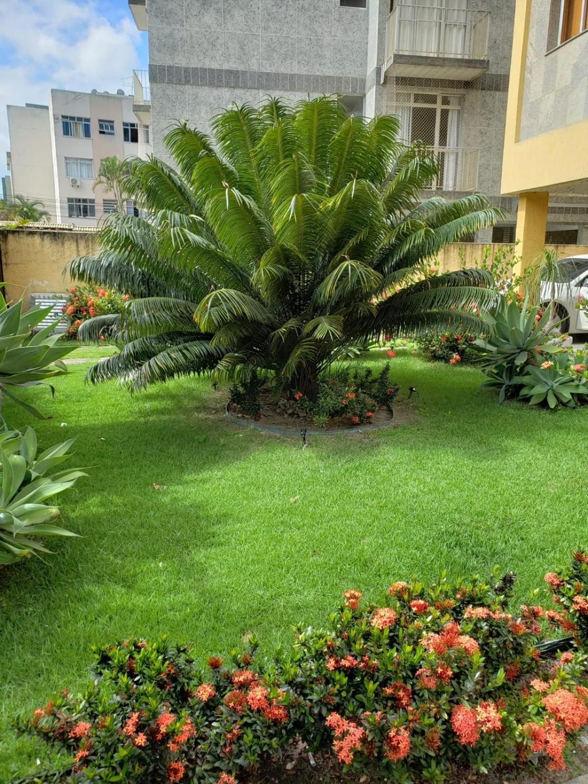 Localizacao Imbativel! A 98M Da Praia Do Forte Com Conforto, Ar-Condicionado E Estacionamento! Cabo Frio Eksteriør billede